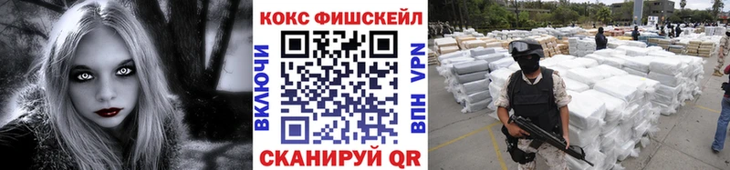 Кокаин FishScale  сколько стоит  Агидель 