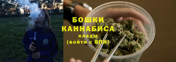 шишки Инта